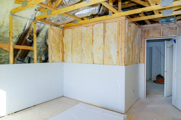 Eco-Friendly or Green Insulation Solutions in Point Roberts, WA